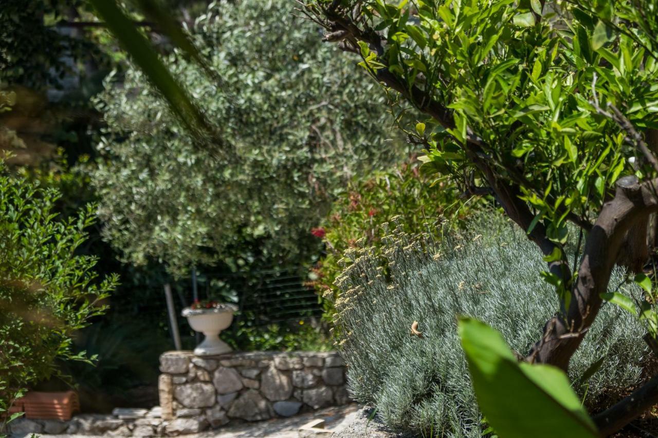 Villa Magnolia Mali Lošinj Esterno foto